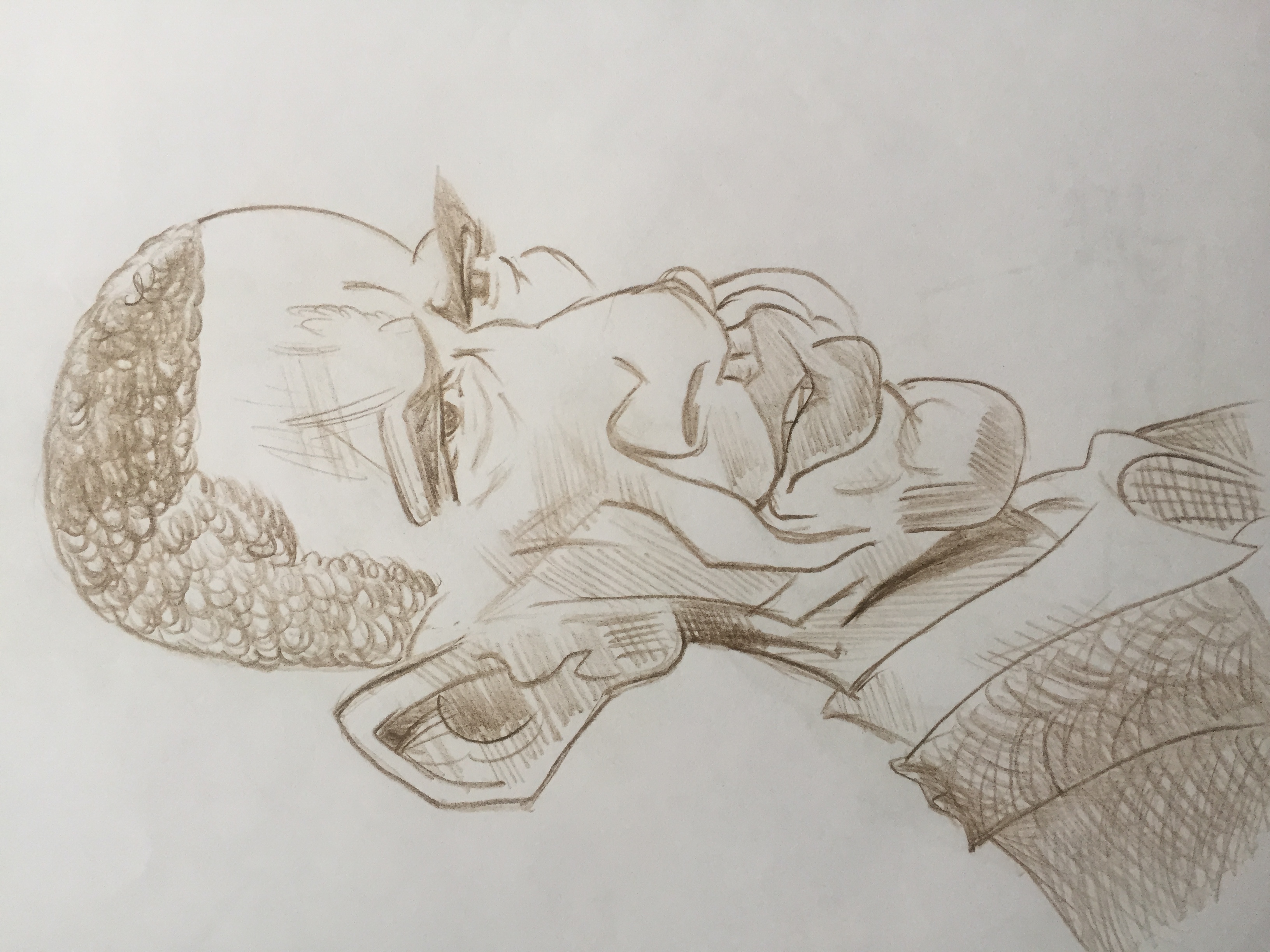 Obama Portrait