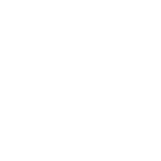 X (Twitter)